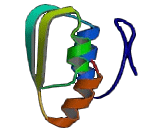 Methyltransferase Like Protein 22 (METTL22)