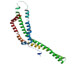 Methyltransferase Like Protein 3 (METTL3)