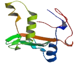 Methyltransferase Like Protein 4 (METTL4)