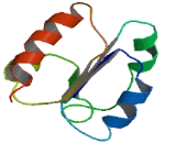 Methyltransferase Like Protein 6 (METTL6)