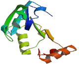 Methyltransferase Like Protein 7A (METTL7A)