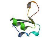 Methyltransferase Like Protein 9 (METTL9)