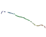 Microfibrillar Associated Protein 1 (MFAP1)