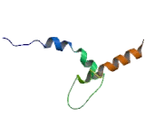 Microphthalmia Associated Transcription Factor (MITF)