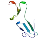 Microseminoprotein, Prostate Associated (MSMP)