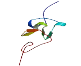 Microtubule Associated Monoxygenase, Calponin And LIM Domain Containing Protein 1 (MICAL1)