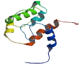 Microtubule Associated Monoxygenase, Calponin And LIM Domain Containing Protein 2 (MICAL2)