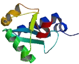 Microtubule Associated Protein 1 Light Chain 3 Beta (MAP1LC3b)