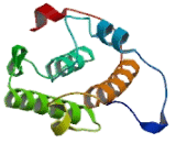 Microtubule Associated Protein RP/EB Family, Member 1 (MAPRE1)