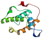 Microtubule Associated Protein RP/EB Family, Member 2 (MAPRE2)