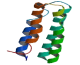 Microtubule Associated Serine/Threonine Kinase 1 (MAST1)