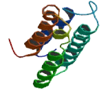 Microtubule Associated Serine/Threonine Kinase 2 (MAST2)