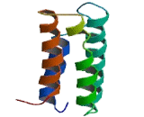 Microtubule Associated Serine/Threonine Kinase 3 (MAST3)