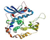 Microtubule Associated Serine/Threonine Kinase 4 (MAST4)