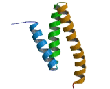 Microtubule Interacting And Transport Domain Containing Protein 1 (MITD1)