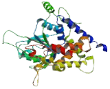 Minichromosome Maintenance Deficient 3 (MCM3)