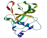 Minichromosome Maintenance Deficient 4 (MCM4)