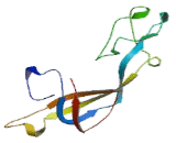 Minichromosome Maintenance Deficient 7 (MCM7)