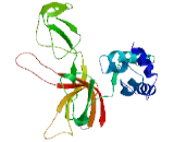 Minichromosome Maintenance Deficient 9 (MCM9)