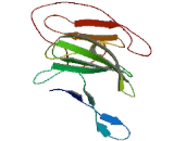 Missing Oocyte, Meiosis Regulator Homolog (MIOS)