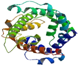 Mitochondrial Calcium Dependent Solute Carrier (MCSC)