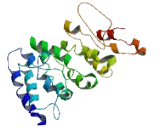 Mitochondrial Calcium Uniporter (MCU)