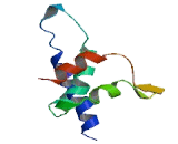 Mitochondrial Carrier Triple Repeat Protein 1 (MCART1)