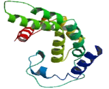 Mitochondrial Carrier Triple Repeat Protein 2 (MCART2)