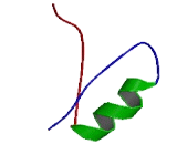 Mitochondrial GTPase 1 (MTG1)