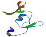 Mitochondrial Inner Membrane Organizing System 1 (MINOS1)