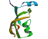 Mitochondrial Methionyl tRNA Formyltransferase (MTFMT)