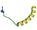 Mitochondrial Proteolipid 6.8kDa (MP68)