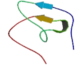 Mitochondrial Ribonuclease P Protein 3 (MRPP3)