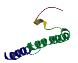 Mitochondrial Ribosomal Protein 63 (MRP63)