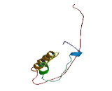 Mitochondrial Ribosomal Protein L22 (MRPL22)