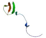 Mitochondrial Ribosomal Protein L27 (MRPL27)