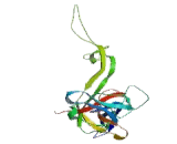 Mitochondrial Ribosomal Protein L3 (MRPL3)