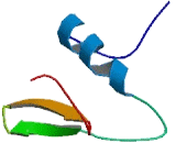 Mitochondrial Ribosomal Protein L32 (MRPL32)