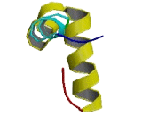 Mitochondrial Ribosomal Protein L34 (MRPL34)