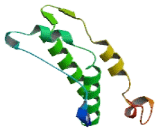 Mitochondrial Ribosomal Protein L37 (MRPL37)