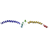 Mitochondrial Ribosomal Protein L40 (MRPL40)