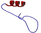 Mitochondrial Ribosomal Protein L52 (MRPL52)