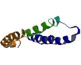 Mitochondrial Ribosomal Protein L54 (MRPL54)