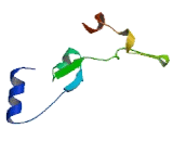 Mitochondrial Ribosomal Protein L55 (MRPL55)