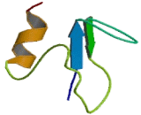 Mitochondrial Ribosomal Protein L9 (MRPL9)