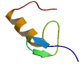 Mitochondrial Ribosomal Protein S14 (MRPS14)