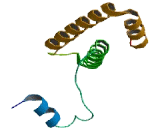 Mitochondrial Ribosomal Protein S15 (MRPS15)