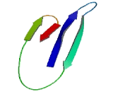 Mitochondrial Ribosomal Protein S17 (MRPS17)