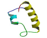 Mitochondrial Ribosomal Protein S18A (MRPS18A)