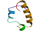 Mitochondrial Ribosomal Protein S18B (MRPS18B)